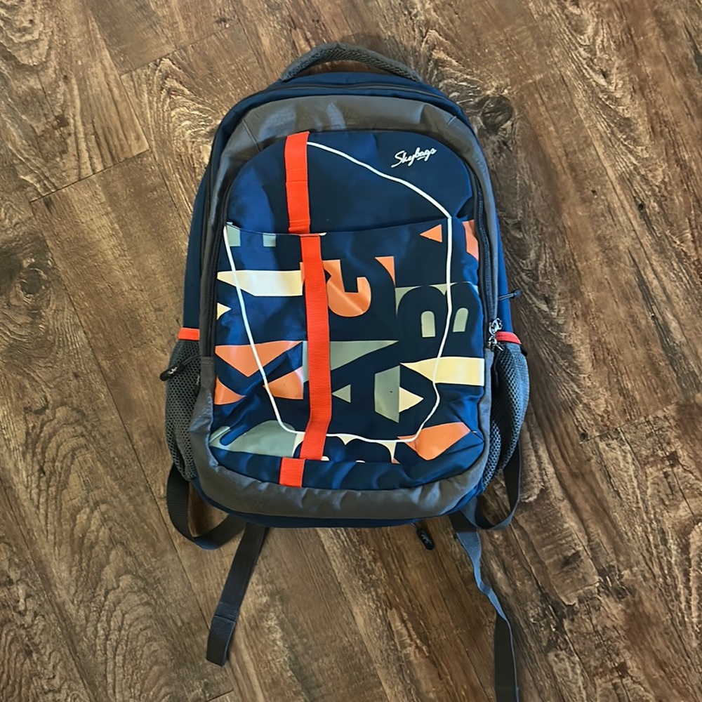 🔥RARE🔥 Skybags Geek 02 Laptop Bag